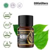 5ML GS 